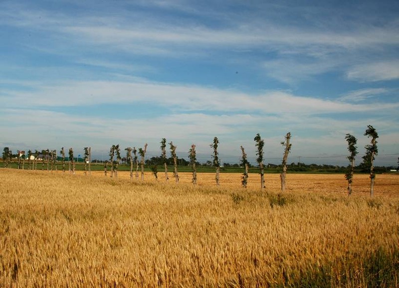 image002