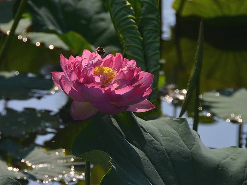image002