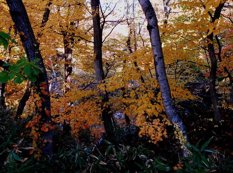 image002