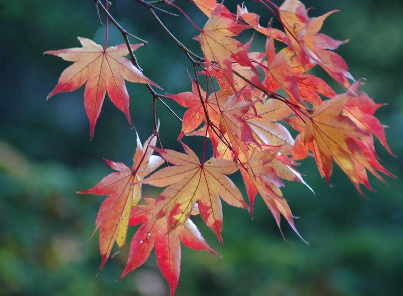 image002