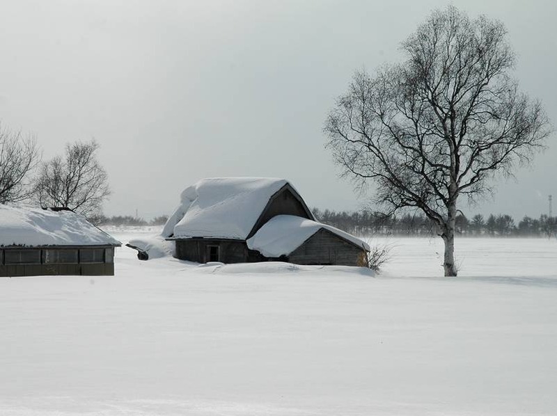 image002