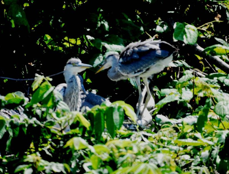 image002