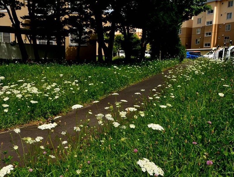 image002