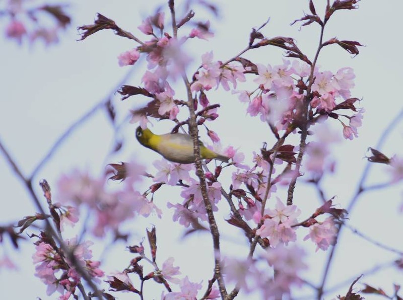 image002