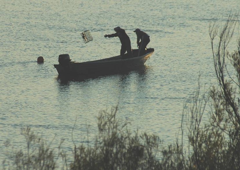 image002