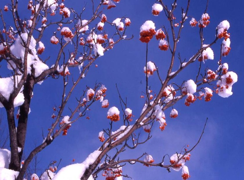 image002