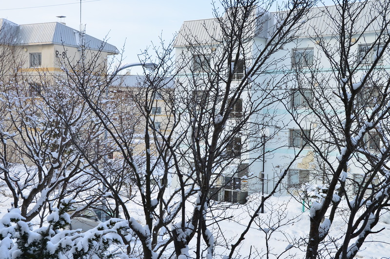 ・D800・2018・03・13 なごり雪 028
