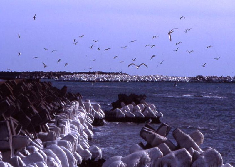 image002
