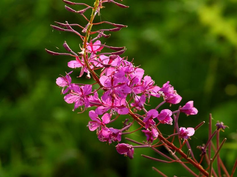 image002