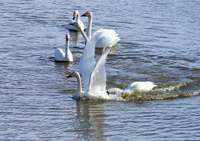 image002
