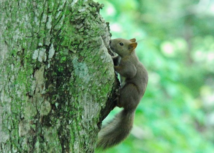 image002