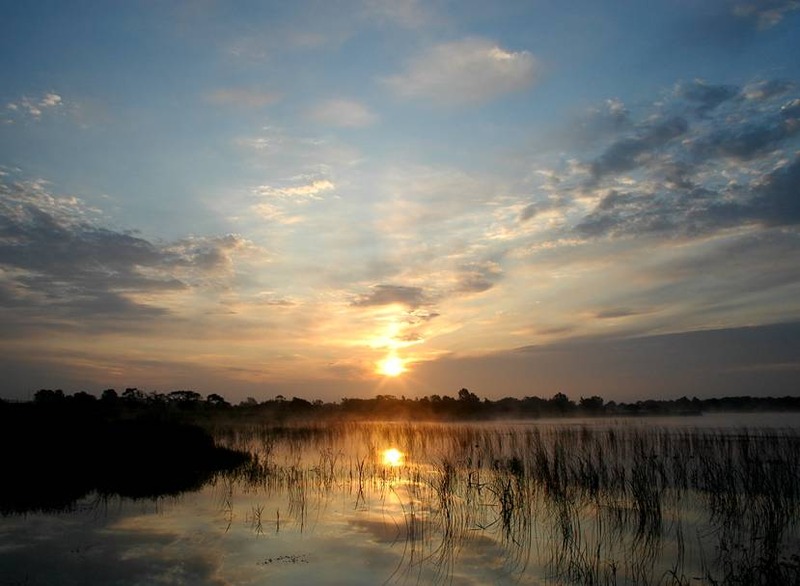 image002