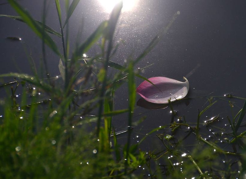 image002