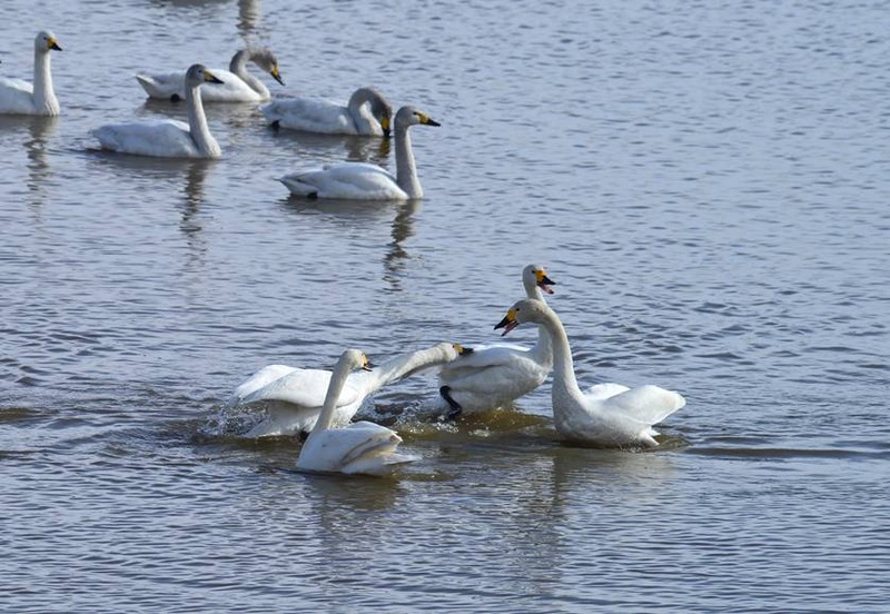 image002