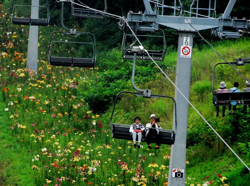 image002