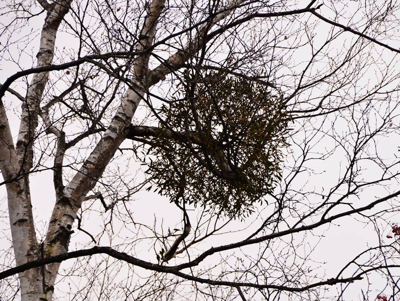 image002