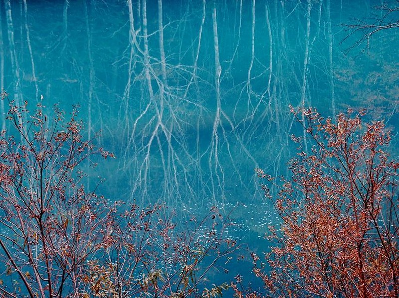 image002