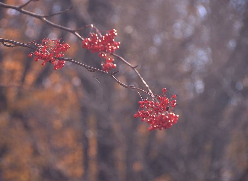 image002