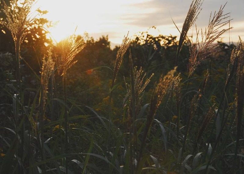 image002