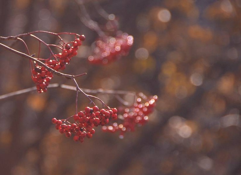 image002