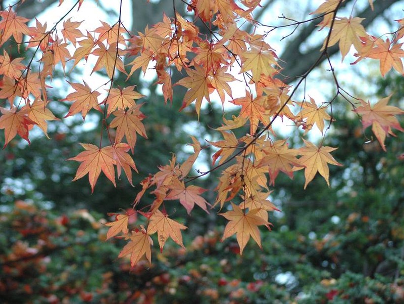 image002