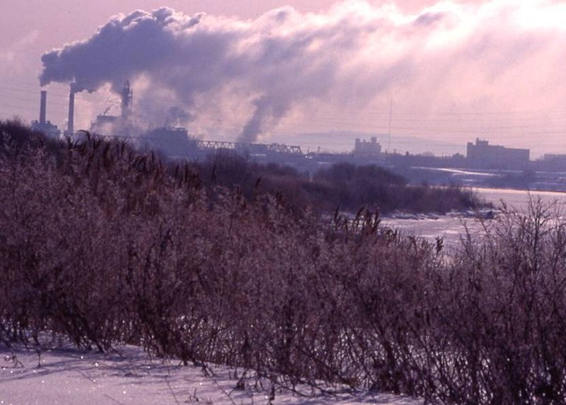 image002