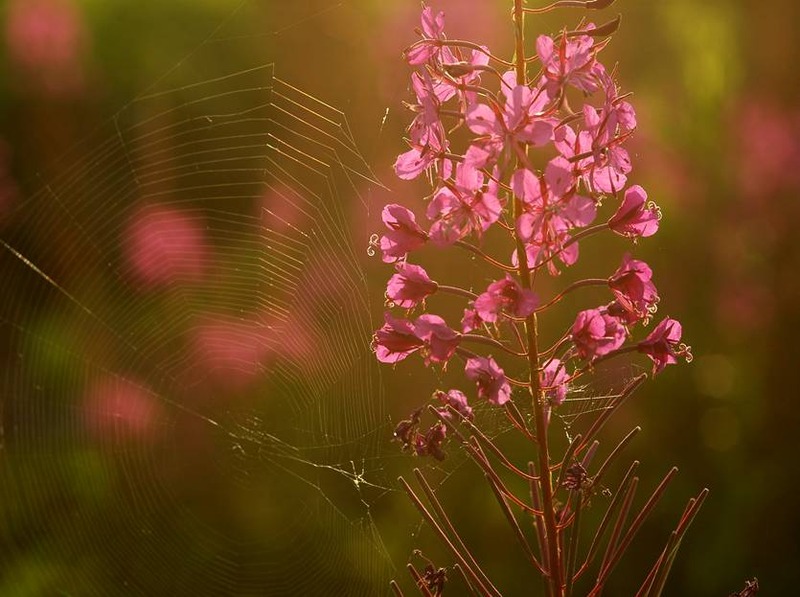image002