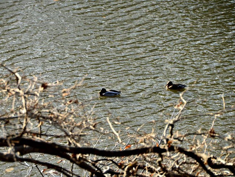 image002