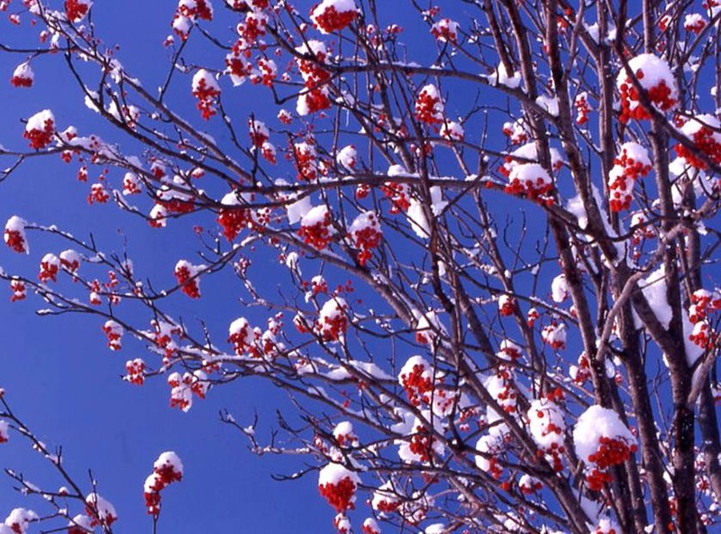 image002