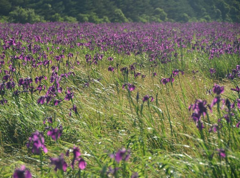 image002