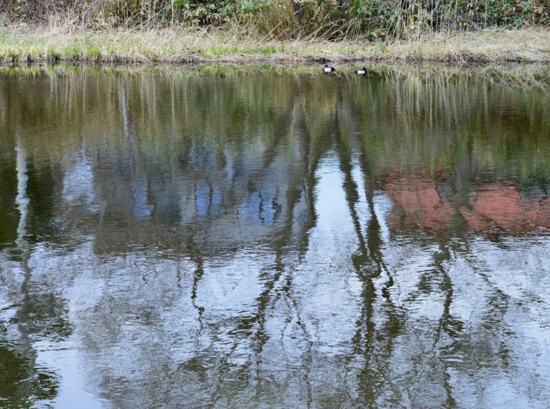 image002