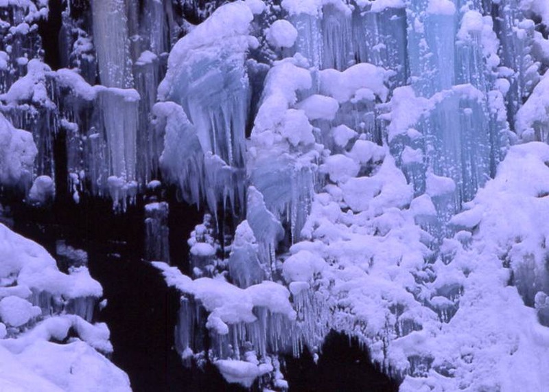 image002
