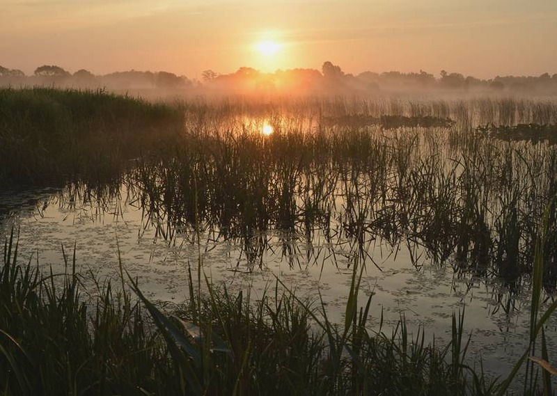image002