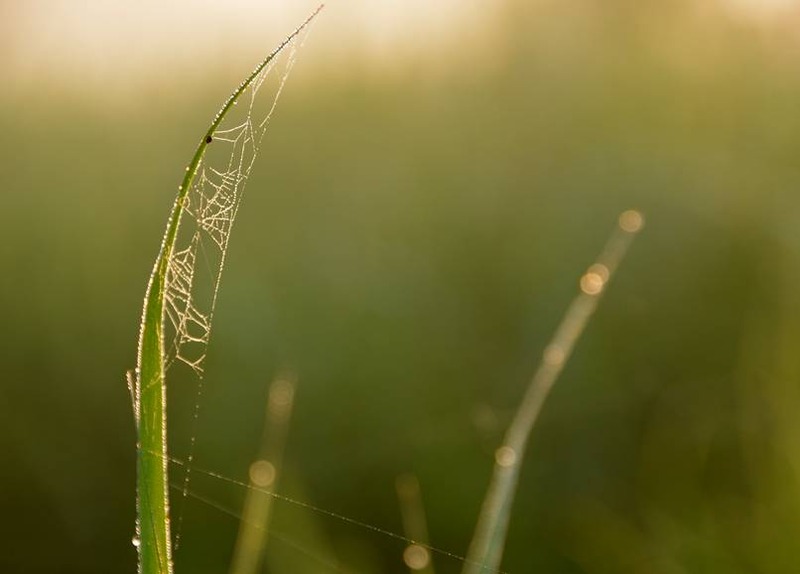image002