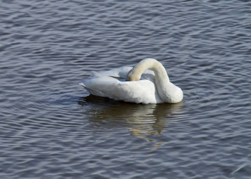 image002