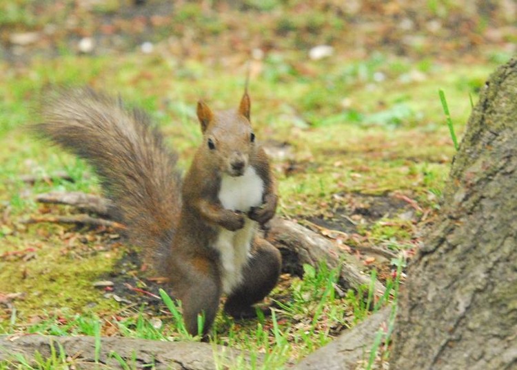 image002