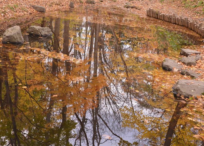 image002