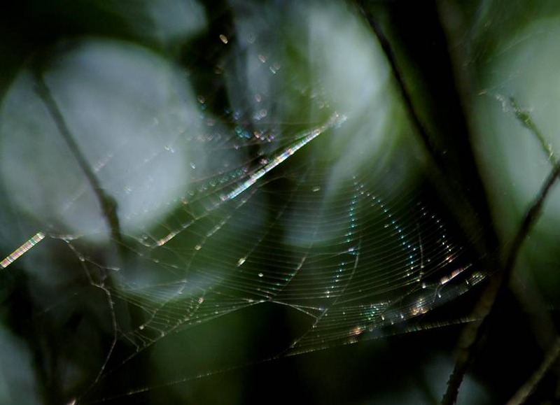image002