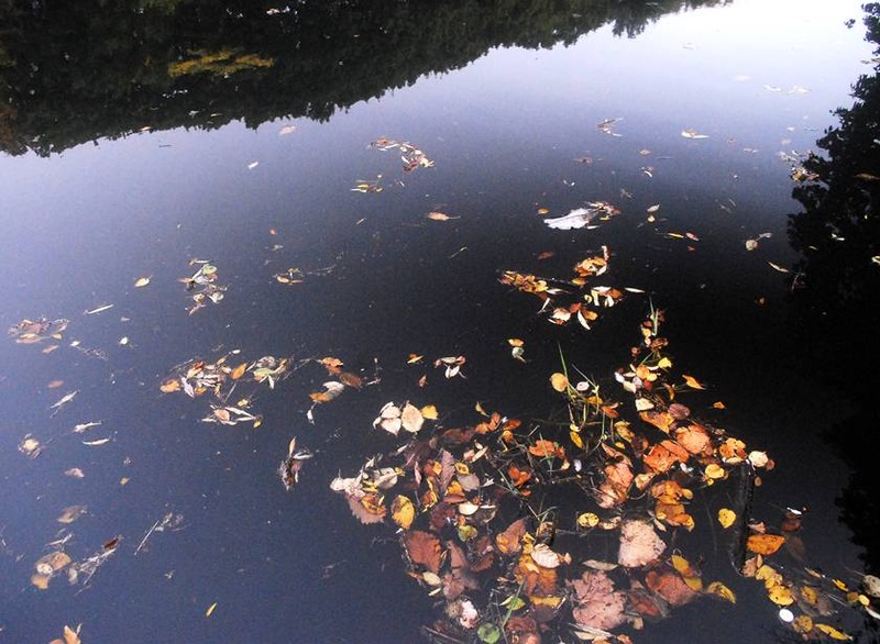 image002