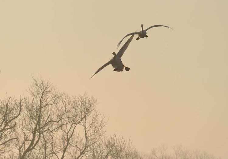 image002