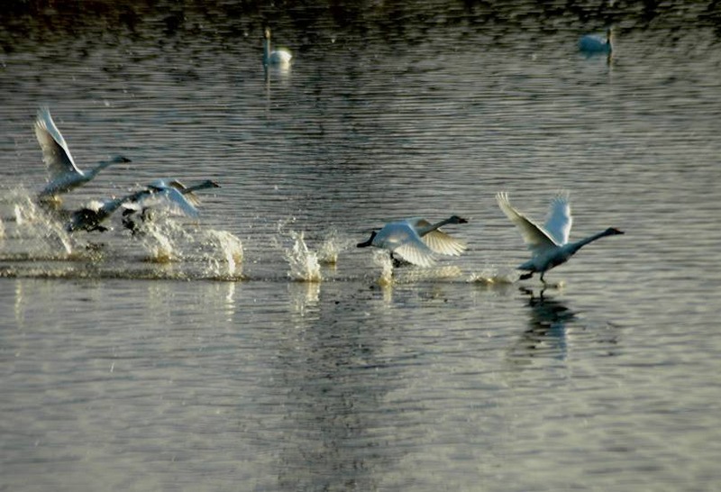 image002