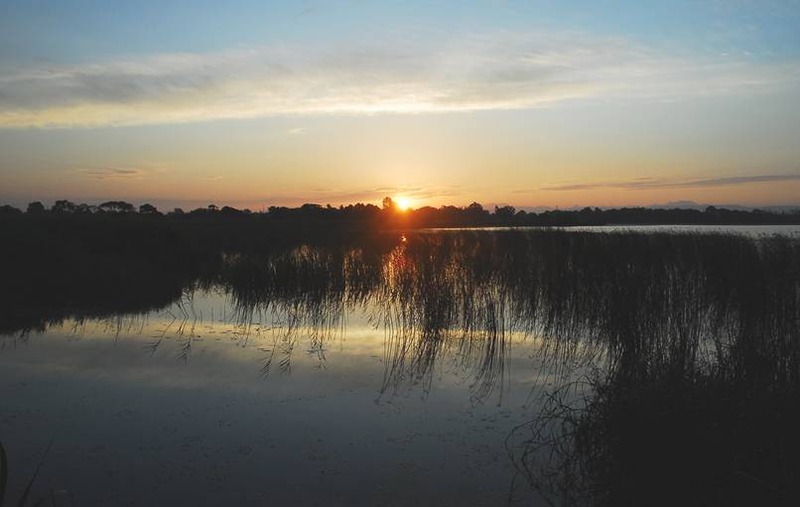 image002