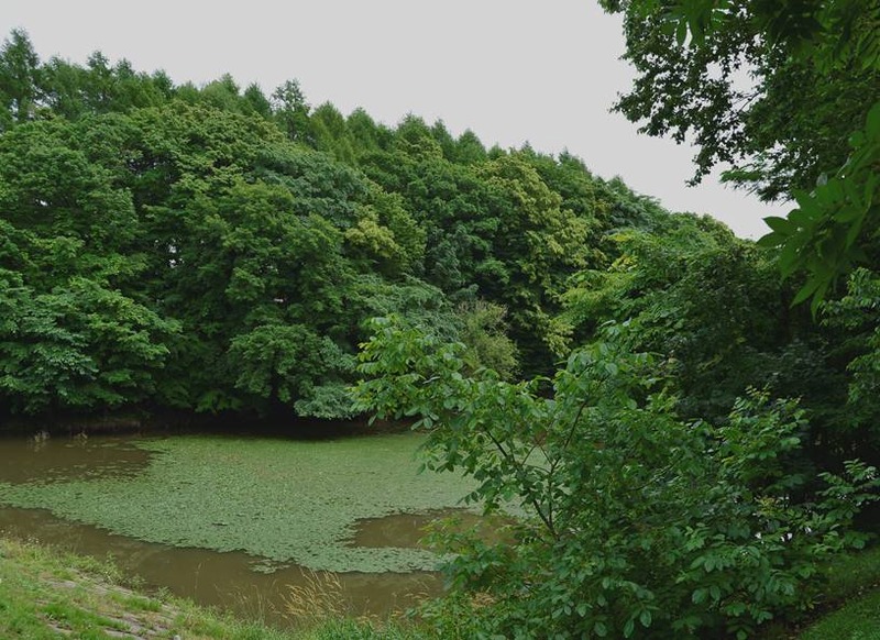 image002