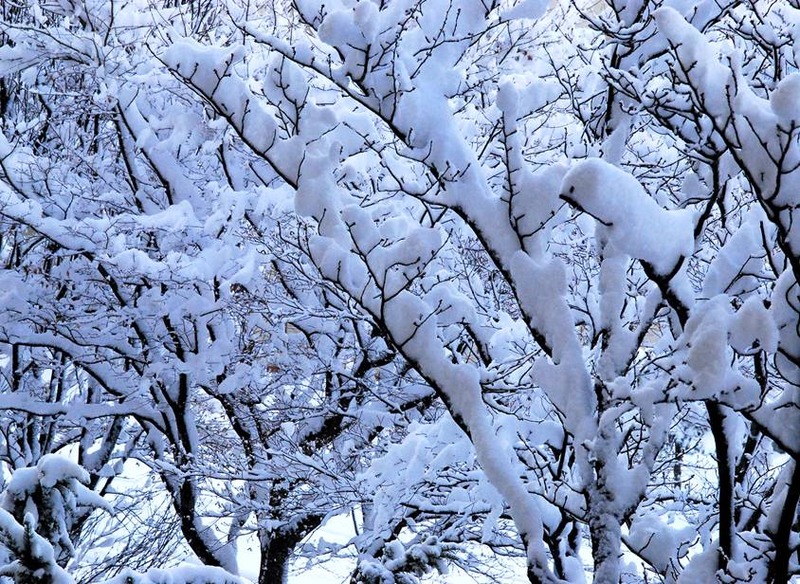 image002