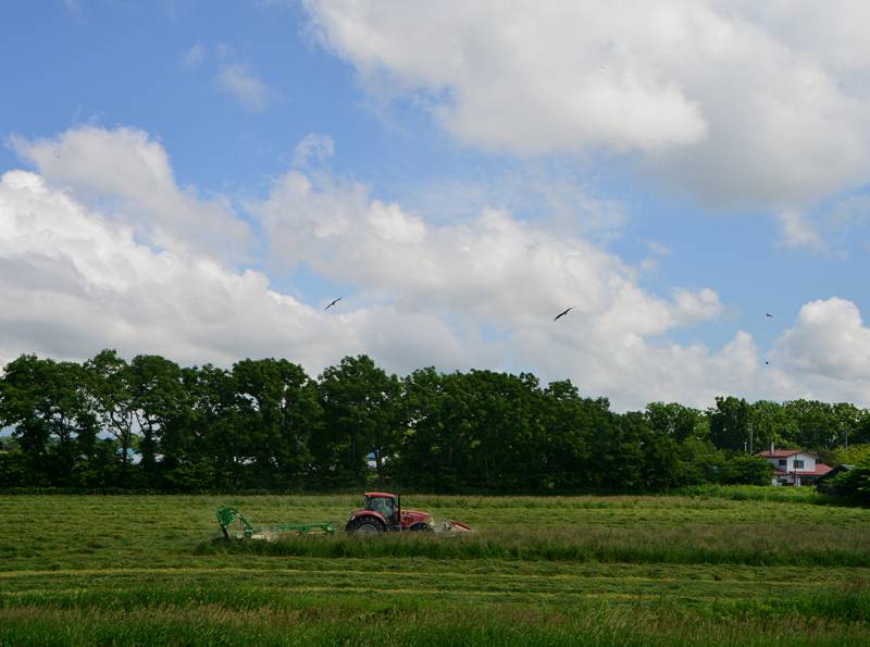 image002