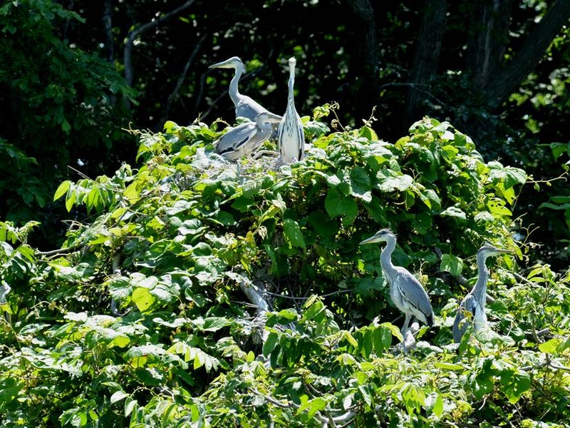 image002