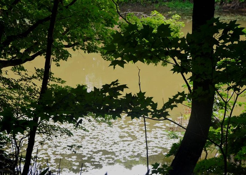image002