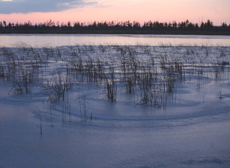 image002