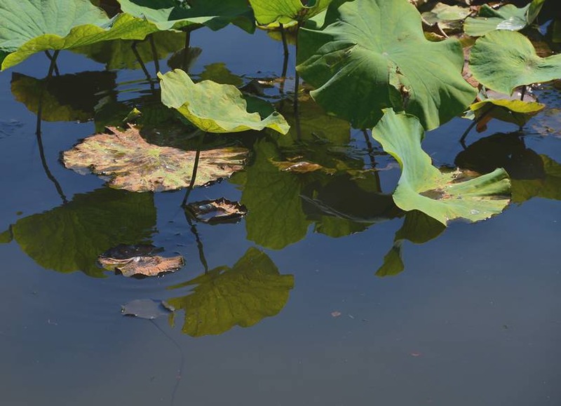 image002
