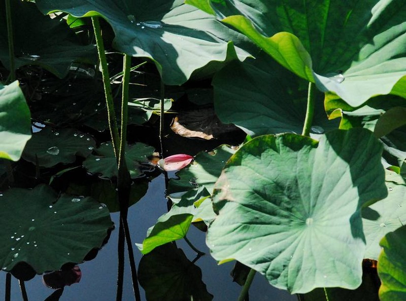 image002